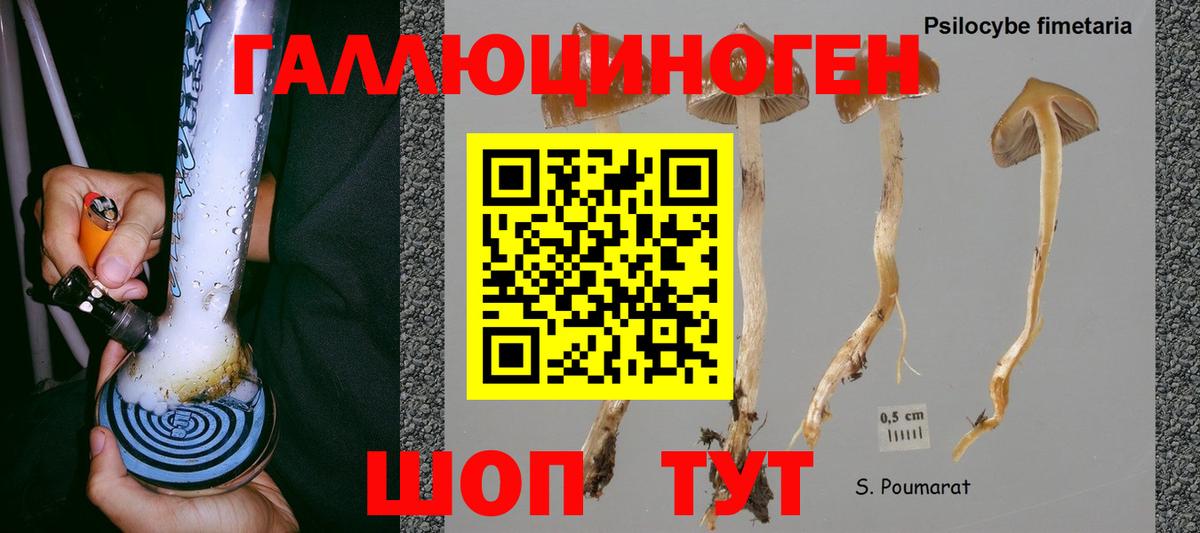 Галлюциногенные грибы Psilocybe  Псилоцибиновые грибы Psilocybe  Орск  Вход с VPN 